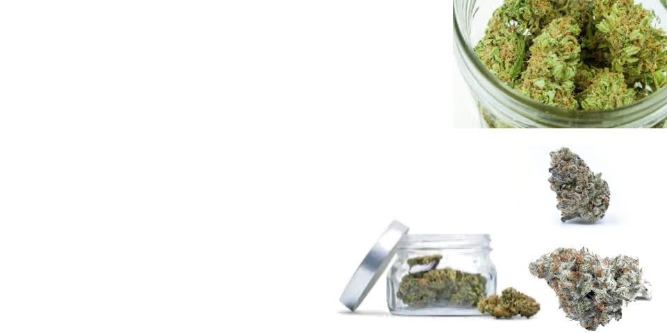 CannaVana : Best Marijuana Dispensary Rockland, MA